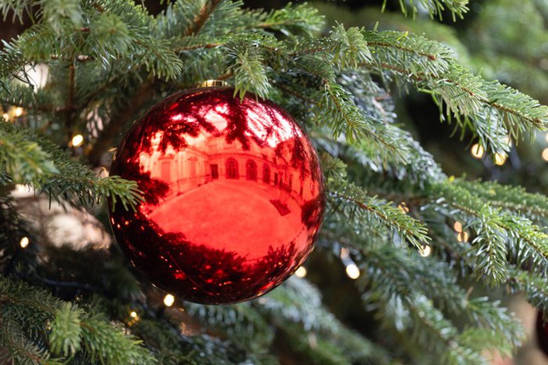 Chiusura del Dipartimento e della Biblioteca nel periodo natalizio