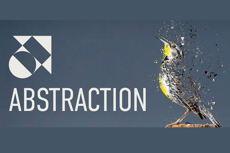 ABSTRACTION